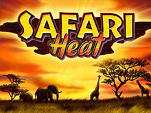 Играйте бесплатно в автоматы 777 Safari Heat