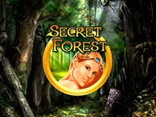 Начать новую игру на автомате Secret Forest