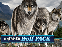 Игровой аппарат Untamed Wolf Pack в Эльдорадо клубе – тематика слота